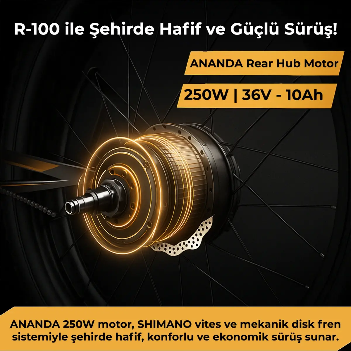 Roxform R-100 Elektrikli Katlanabilir Bisiklet 20 İnç Şehir Bisikleti - 25
