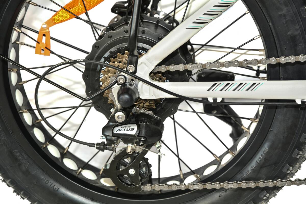 Roxform R-300 Elektrikli Katlanabilir Bisiklet 13AH/15AH/20AH Shimano Altus Hidrolik Fren Alüminyum Kadro - 18