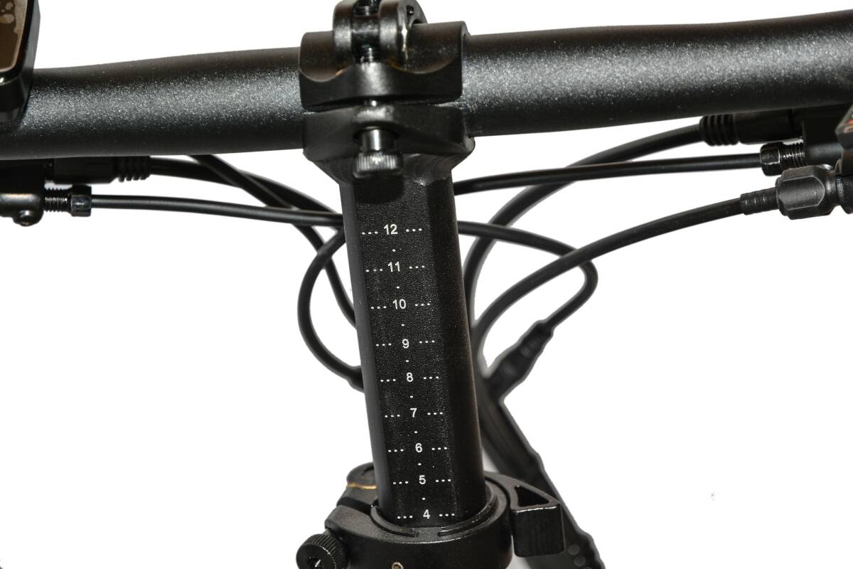 Roxform R-300 Elektrikli Katlanabilir Bisiklet 13AH/15AH/20AH Shimano Altus Hidrolik Fren Alüminyum Kadro - 21