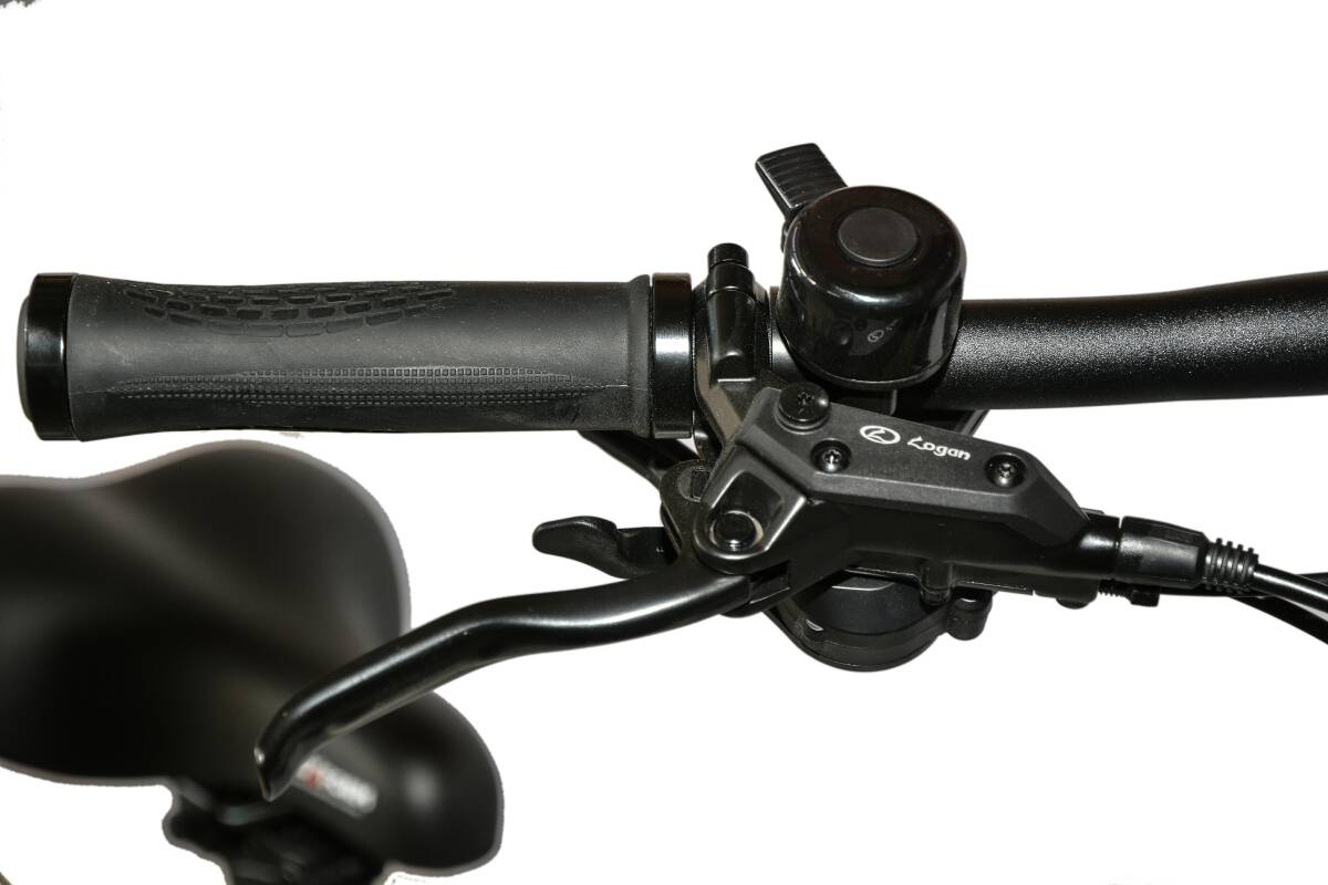 Roxform R-300 Elektrikli Katlanabilir Bisiklet 13AH/15AH/20AH Shimano Altus Hidrolik Fren Alüminyum Kadro - 22