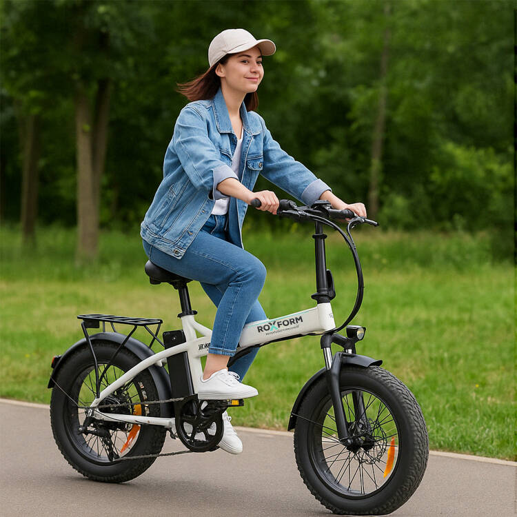 Roxform R-300 Elektrikli Katlanabilir Bisiklet 13AH/15AH/20AH Shimano Altus Hidrolik Fren Alüminyum Kadro - 43