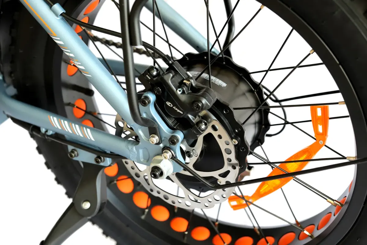 Roxform R-300 Elektrikli Katlanabilir Bisiklet 13AH/15AH/20AH Shimano Altus Hidrolik Fren Alüminyum Kadro - 54