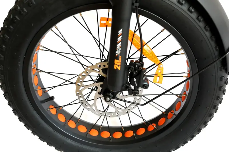 Roxform R-300 Elektrikli Katlanabilir Bisiklet 13AH/15AH/20AH Shimano Altus Hidrolik Fren Alüminyum Kadro - 58